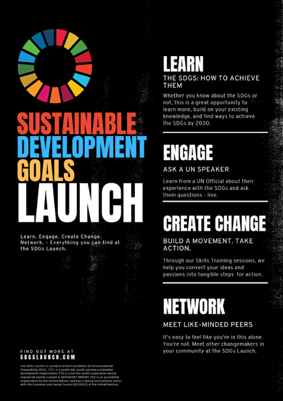 sdg flyer